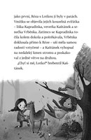 a101a0f0000982_osudovi-kamaradi-blok-lis