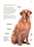 a101a0f0000995_prvni-pomoc-pro-psy-list1