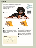 a101a0f0000995_prvni-pomoc-pro-psy-list3