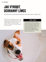 a101a0f0000995_prvni-pomoc-pro-psy-list4