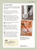 a101a0f0000996_prvni-pomoc-pro-kocky-lis