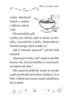 a101a0f0001137_mala-baletka17-nela-a-led