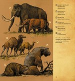 a101a0f0001140_velky-indiansky-pribeh-li