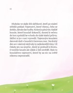 a101a0f0001141_jak-kouzlo-do-housli-vklo