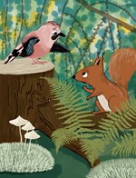 a101a0f0001142_pan-redkvicka-a-vesmirne-