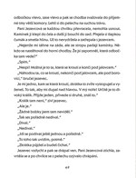 a101a0f0001142_pan-redkvicka-a-vesmirne-