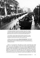 a101a0f0001921_sudety-ve-stinu-mnichova-