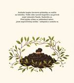 a101a0f0002654_vanda-hleda-velkou-lasku-