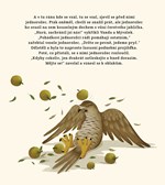 a101a0f0002654_vanda-hleda-velkou-lasku-