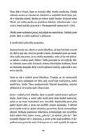 a101a0f0003489_vietnamske-srdce-cesky-do