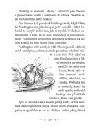 a101a0f0005064_medvidek-paddington-list3