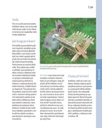 a101a0f0009840_moji-zakrsli-usaci-list3.