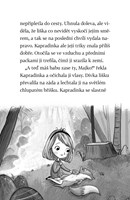 a101a0f0010058_osudovi-kamaradi-5-nocni-