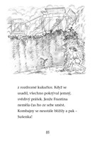 a101a0f0010188_sovicka-v-nesnazich-list3