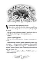 a101f0f0000970_zlodeji-stinu_tajemstvi-d