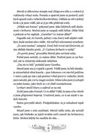 a101f0f0000970_zlodeji-stinu_tajemstvi-d