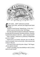 a101f0f0000970_zlodeji-stinu_tajemstvi-d