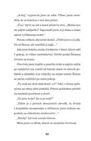 a101f0f0000975_pohlad-kone-po-dusi-list2