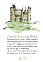 a101f0f0002224_o-princezne-ktera-rackova