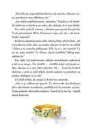 a101f0f0002224_o-princezne-ktera-rackova