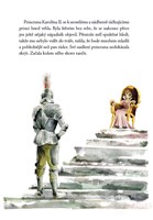 a101f0f0002224_o-princezne-ktera-rackova