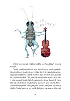 a101f0f0003219_putovani-bramburka-a-javu