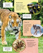 a101f0f0003220_moderni-encyklopedie-pro-