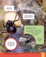 a101f0f0003220_moderni-encyklopedie-pro-