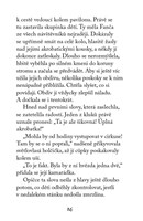 a101f0f0003578_pribehy-ze-zoo-opicka-nep