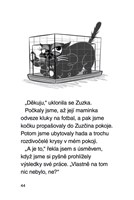 a101f0f0005838_julinka_prisne tajny plan