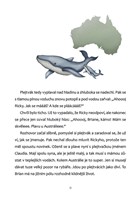 a101f0f0007129_jak-sel-tygr-k-holici-lis