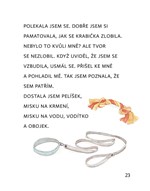 A101A0F0011877_zpravy-z-pelisku-list2.jp