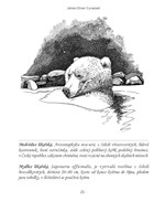 A10160F0000315_kral-medvedu-listovani-02