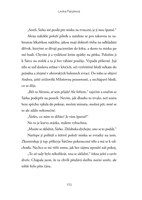 A10160F0003305_Sklouzni-se-v-desti-list3