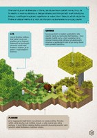 A102M1F0011739_minecraft-prirucka-prezit