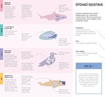 A101U0F0003540_prozkoumejte-tela-zvirat-