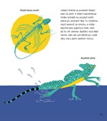 A101U0F0004473_obratni-obratlovci-list2.