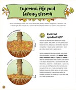 A101U0F0005867_tajemny_zivot_lesa_list1.