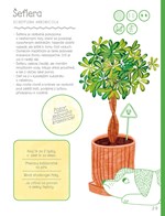 A101U0F0006034_taky-mam-svoji-pokojovku-