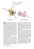 A101U0F0006793_zazracny-svet-hmyzu_list4