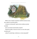 A101M0F0000413_disney-zviratkova-sbirka-