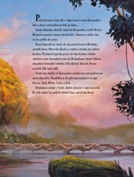 a101M0F0000478_raya-a-drak-pribeh-podle-