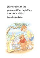 A101M0F0000783_Medvidek-Pu-Zaciname-cist