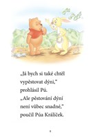 A101M0F0000783_Medvidek-Pu-Zaciname-cist