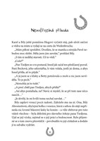 A101M0F0000904_ponik-vetrnik-4-potlesk-p