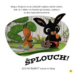 a101M0F0002308_bing-ctyri-rocni-obdobi-s