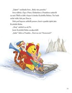 A101M0F0002428_medvidek-pu–5minutove-poh