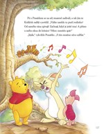 A101M0F0002428_medvidek-pu–5minutove-poh