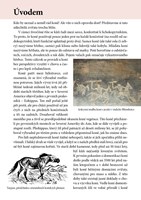 A101M0F0004199_kone-pribehy-z-celeho-sve