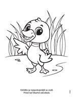 a101M0F0004521_zviratka-z-farmy-omalovan